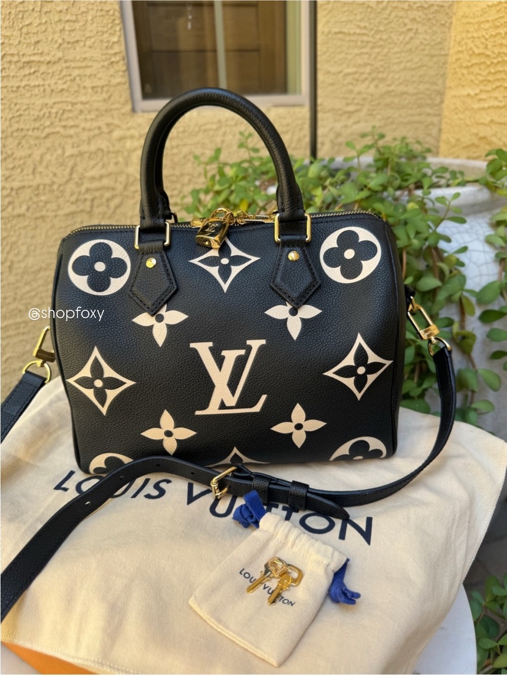Louis Vuitton Speedy Bandoulière 25